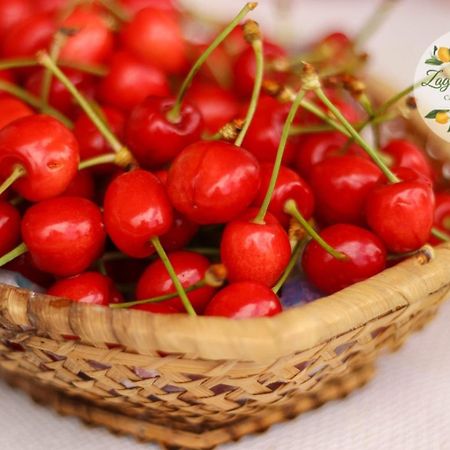 Zagare E Limoni Apartment Ostuni Ngoại thất bức ảnh