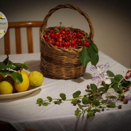Zagare E Limoni Apartment Ostuni Ngoại thất bức ảnh