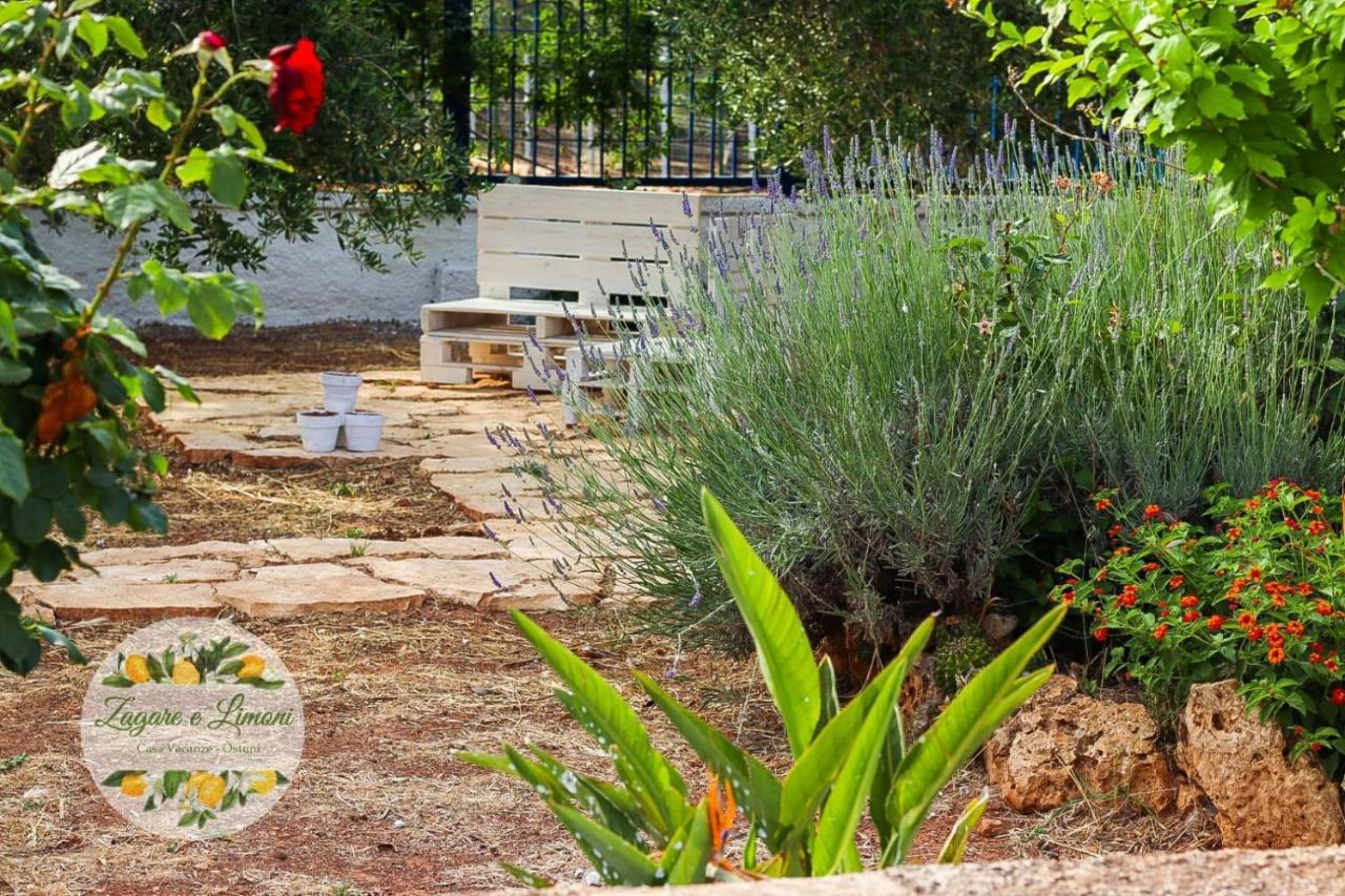 Zagare E Limoni Apartment Ostuni Ngoại thất bức ảnh