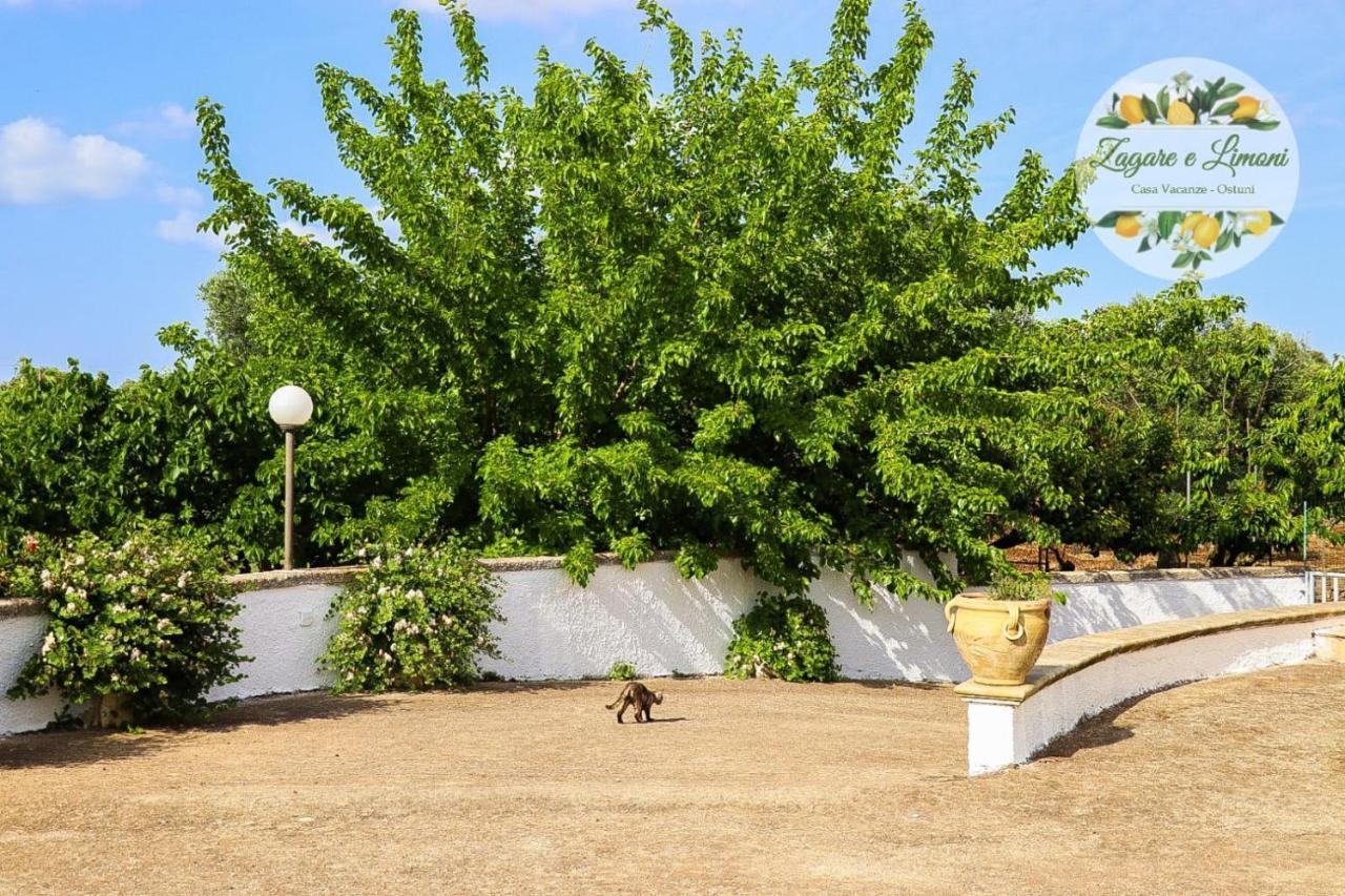 Zagare E Limoni Apartment Ostuni Ngoại thất bức ảnh